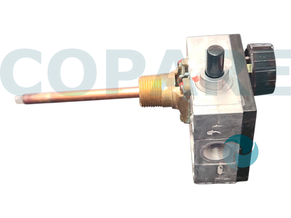 TERMOSTATO AUTOMATICO EITAR CON BOTON TTBOEI001