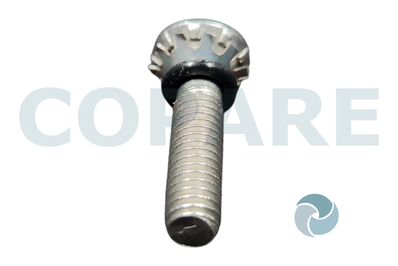 TORNILLO PARA TRANSMISIONES DE PLASTICO XLAV059
