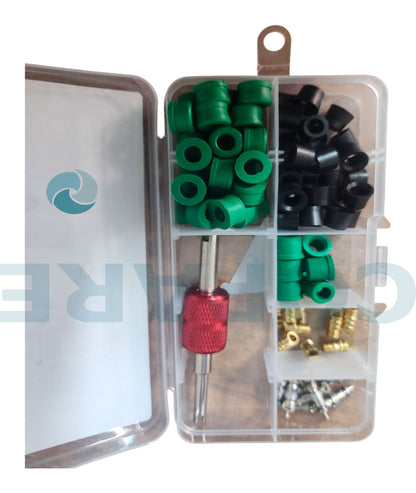 KIT DE EMPAQUES Y VALVULAS PARA MANIFOLD GB KIT-PVGB/01