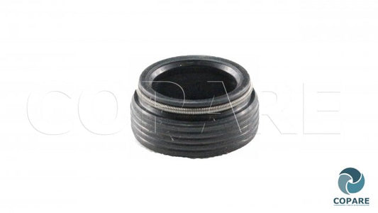 SELLO INF. POSTE AMAZONAS HECHIZO SLTRMA002