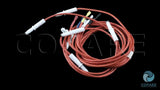 ARNES BUJIA WS01F00832