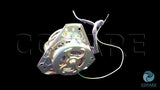 MOTOR SECADO EASY LED1131B MTSEMB003/WG04A00232/880422